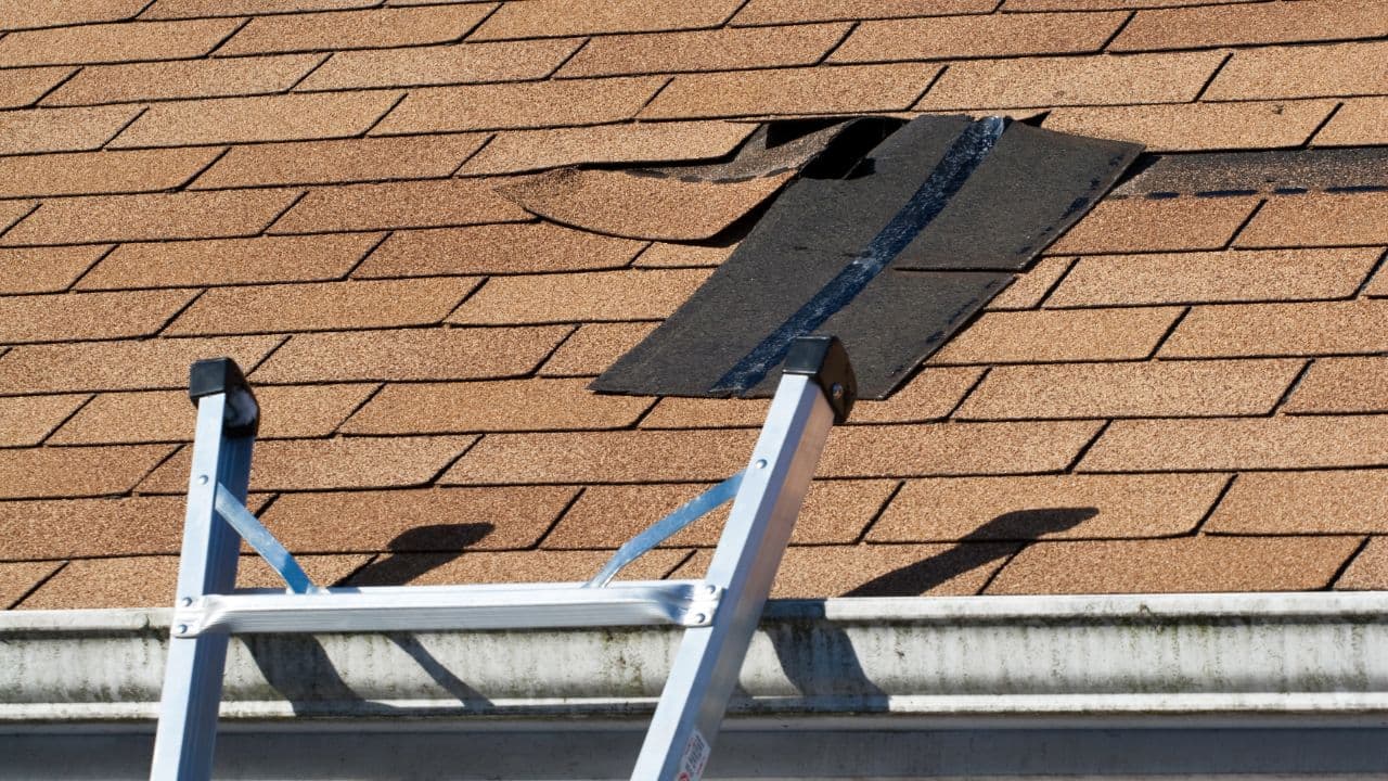 Wind-damaged asphalt shingles lifted on a roof