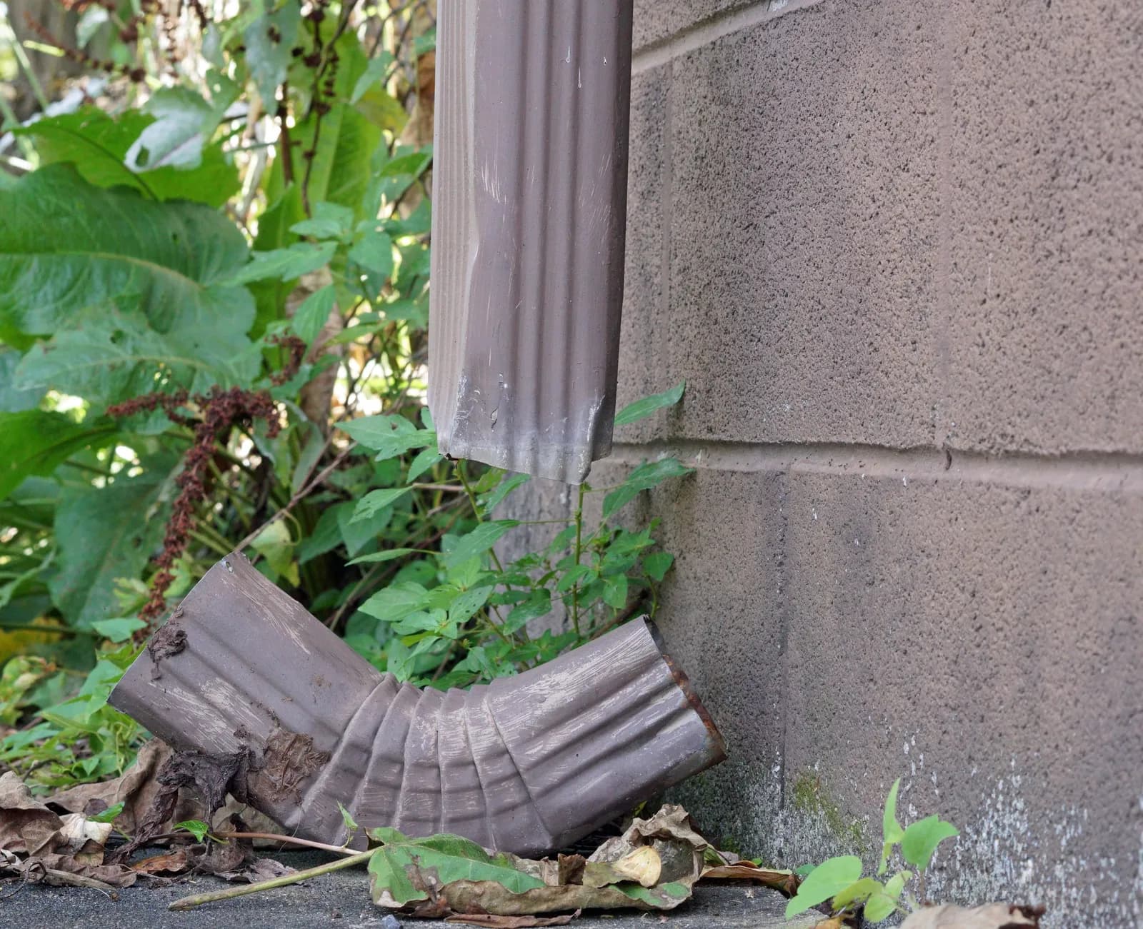 A broken downspout pulled away from the wall